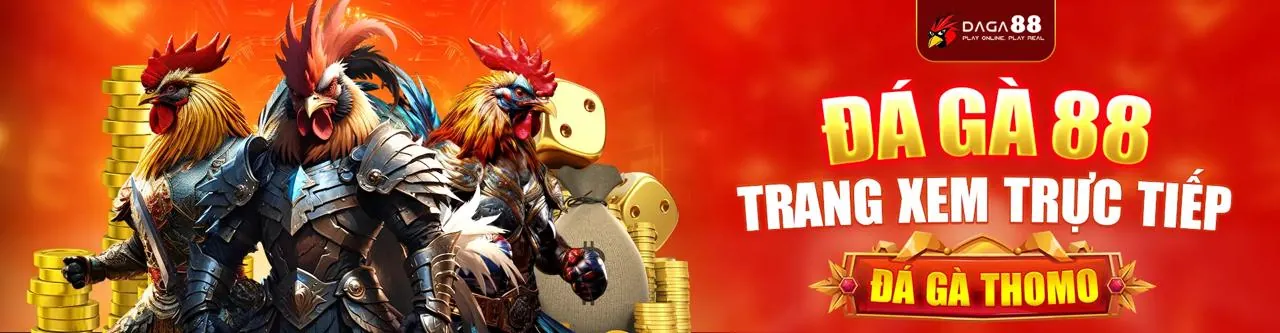 Hình ảnh đá gà trực tuyến sôi động tại VB66
