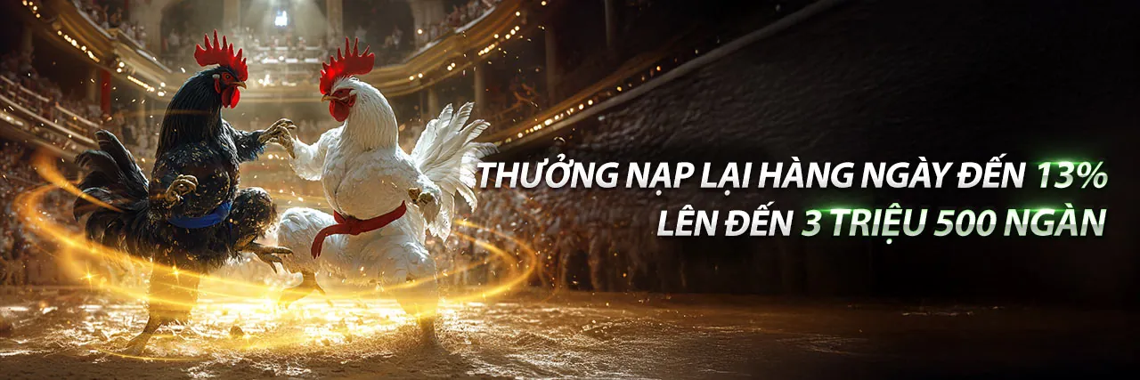 Tải ứng dụng VB66 Code để trải nghiệm cá cược trên di động