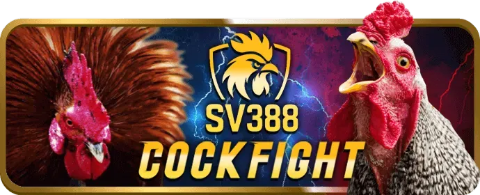 Đa dạng trò chơi Slots tại vb66 code